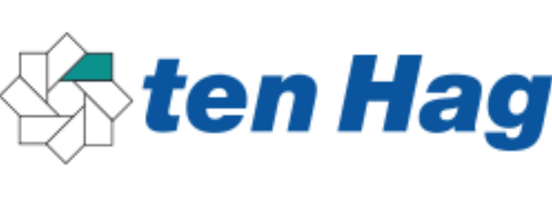 ten-hag-logo-web.png