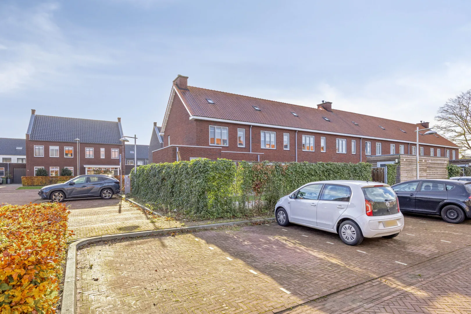 Bosveen 26